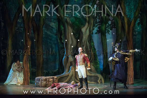 Skylight Into the Woods Preview-15