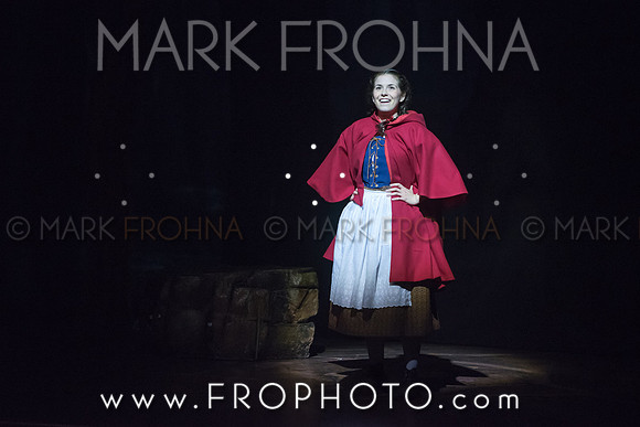 Skylight Into the Woods Preview-14