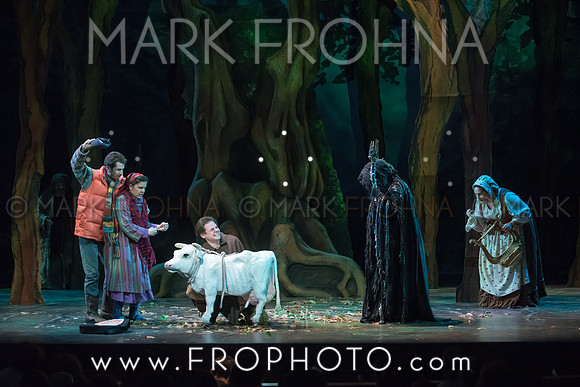 Skylight Into the Woods Preview-38