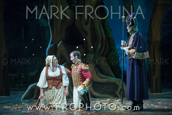 Skylight Into the Woods Preview-37