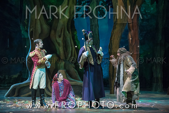 Skylight Into the Woods Preview-36