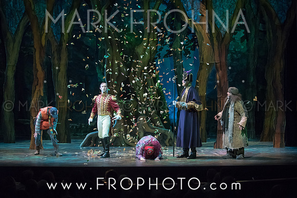 Skylight Into the Woods Preview-35