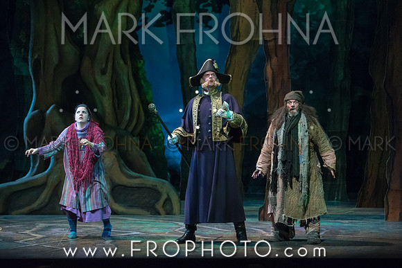 Skylight Into the Woods Preview-34