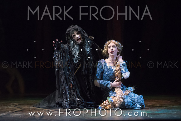 Skylight Into the Woods Preview-32