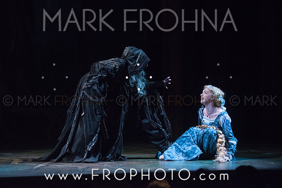 Skylight Into the Woods Preview-31