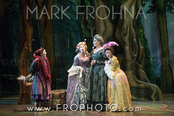 Skylight Into the Woods Preview-28
