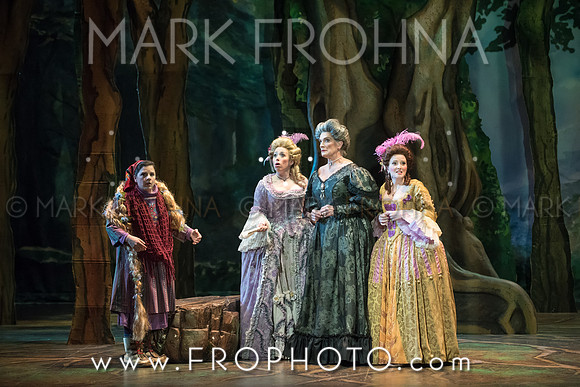 Skylight Into the Woods Preview-27