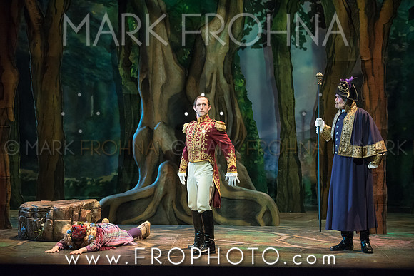 Skylight Into the Woods Preview-26