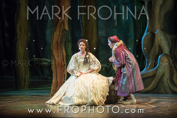 Skylight Into the Woods Preview-24