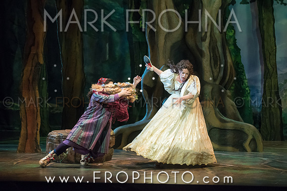 Skylight Into the Woods Preview-25
