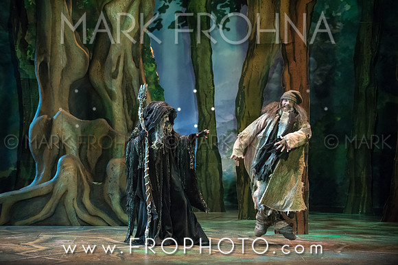 Skylight Into the Woods Preview-23