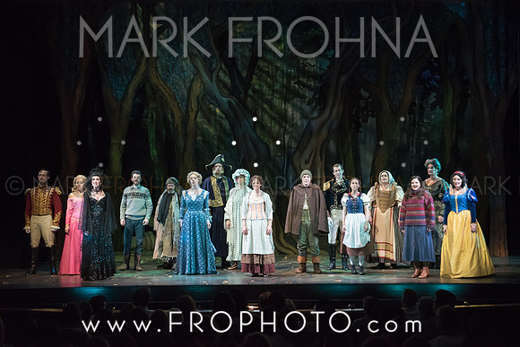 Skylight Into the Woods Preview-60