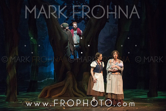 Skylight Into the Woods Preview-59