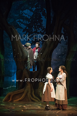 Skylight Into the Woods Preview-58