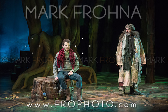 Skylight Into the Woods Preview-57