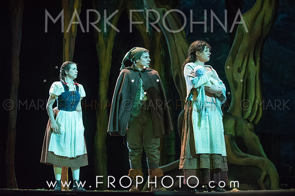 Skylight Into the Woods Preview-56