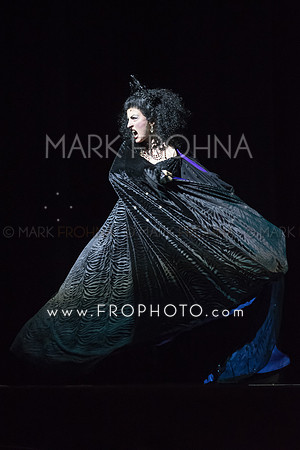 Skylight Into the Woods Preview-55