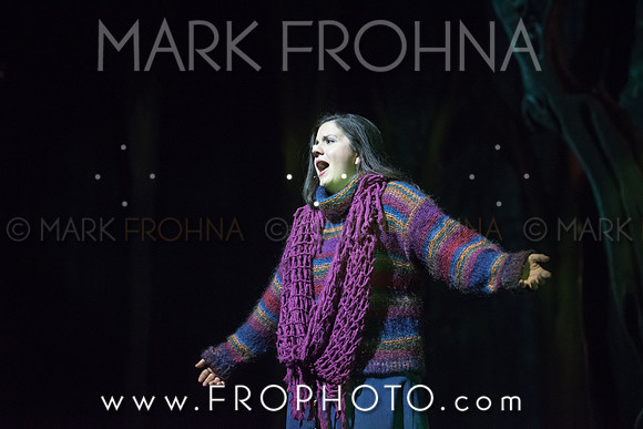 Skylight Into the Woods Preview-51