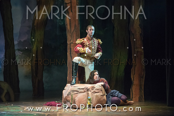 Skylight Into the Woods Preview-50