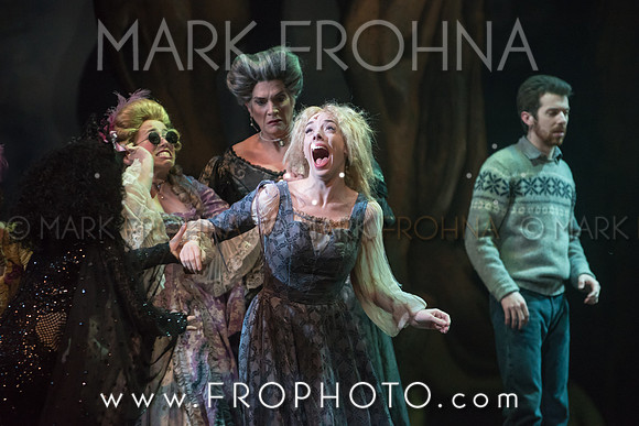 Skylight Into the Woods Preview-48