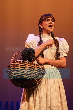 KM Wizard of Oz Highlights-4