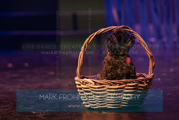 KM Wizard of Oz Highlights-2