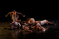 UWM New Dancemakers the tree hears me when I fall-3