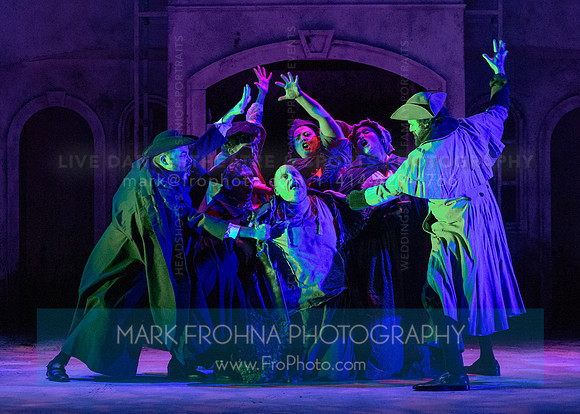Skylight Frankenstein Highlights-21