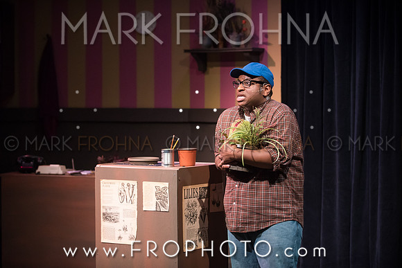 All In Little Shop Selections-1