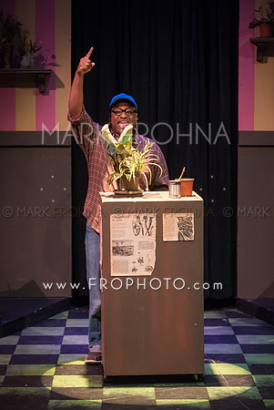 All In Little Shop Selections-2