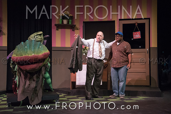 All In Little Shop Selections-7