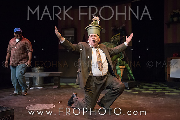 All In Little Shop Selections-9