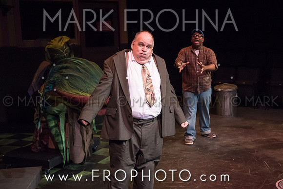 All In Little Shop Selections-10