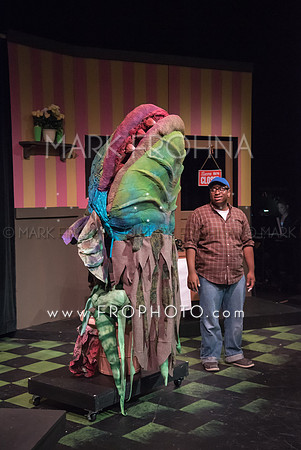 All In Little Shop Selections-11