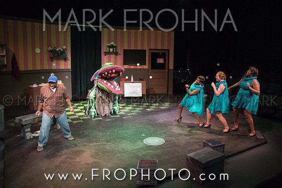 All In Little Shop Selections-13