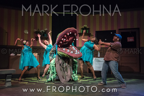 All In Little Shop Selections-14