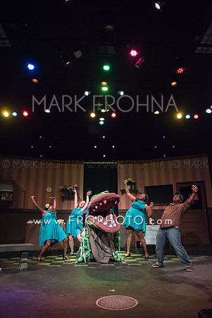 All In Little Shop Selections-15