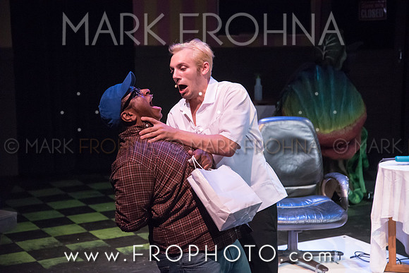 All In Little Shop Selections-16