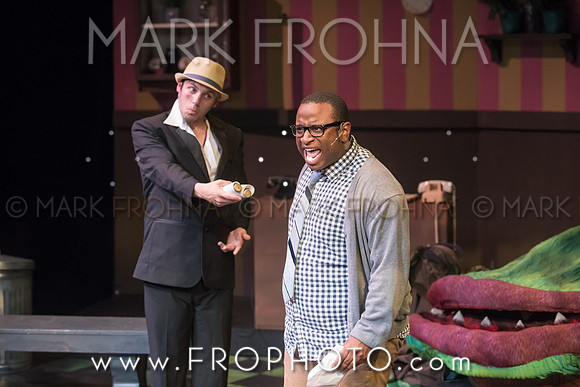 All In Little Shop Selections-21
