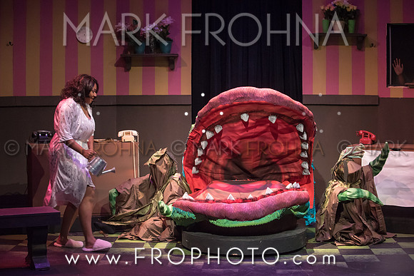 All In Little Shop Selections-22