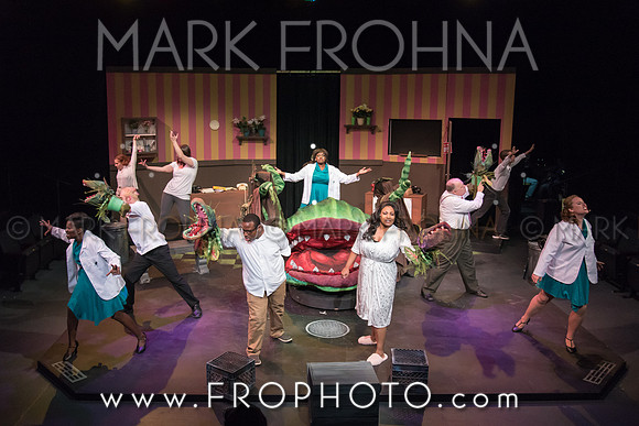 All In Little Shop Selections-24