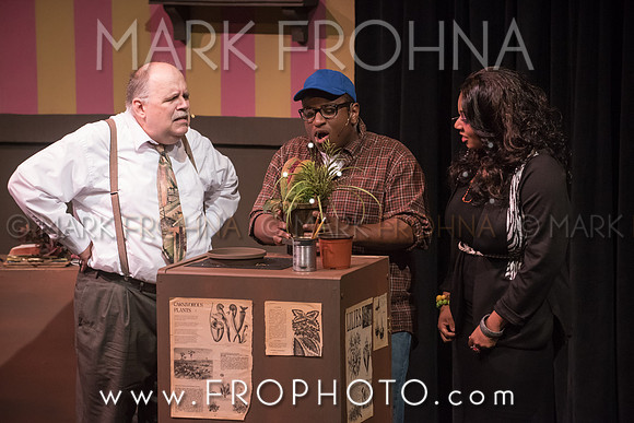All In Little Shop-56