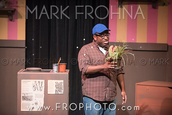 All In Little Shop-60