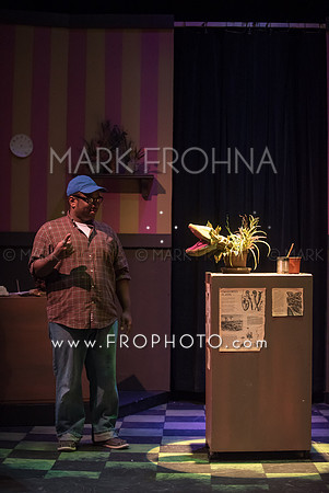 All In Little Shop-63