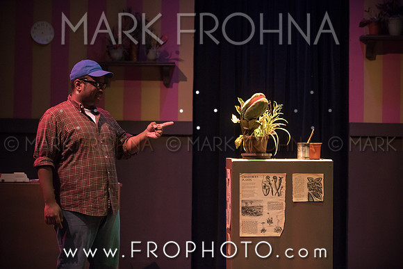 All In Little Shop-65