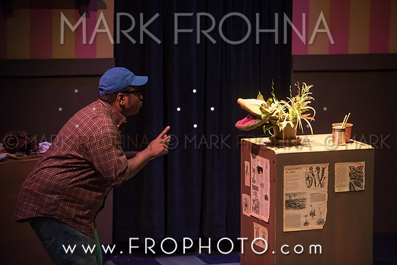 All In Little Shop-67