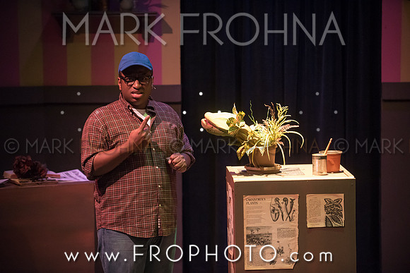 All In Little Shop-68