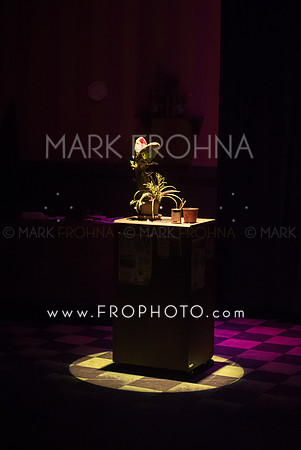 All In Little Shop-71