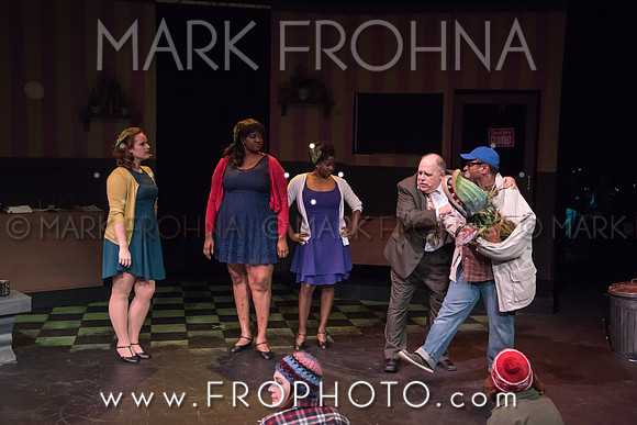 All In Little Shop-77
