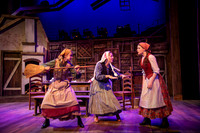Skylight Fiddler on the Roof Selects-27
